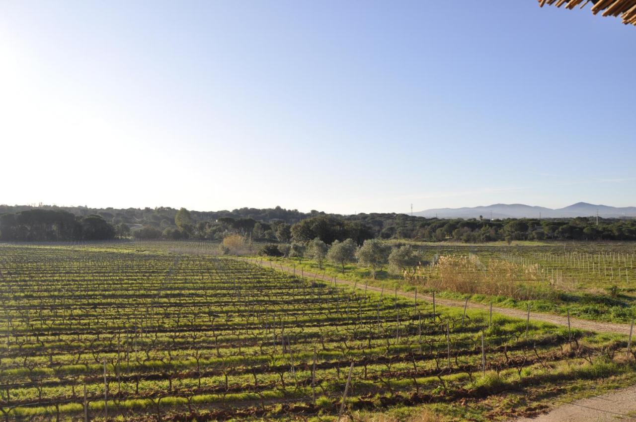 Le Gite Des Cinq Cepages Fréjus Exterior foto